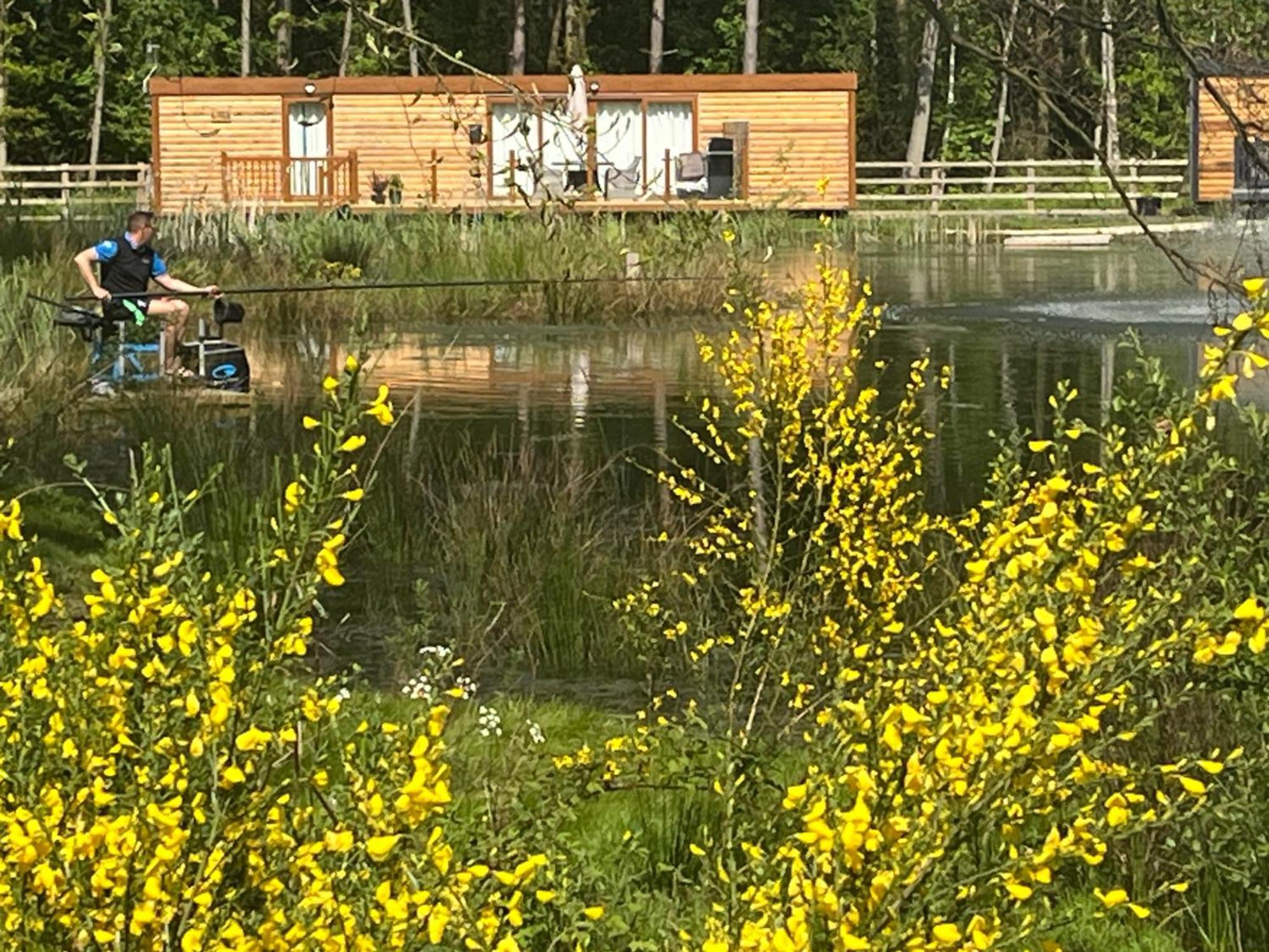 Oak Boutique Lodge Includes Hot Tub Air Con & Dog York Esterno foto